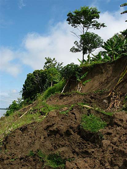 iquitos
