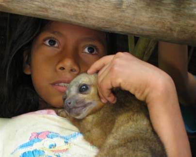 iquitos